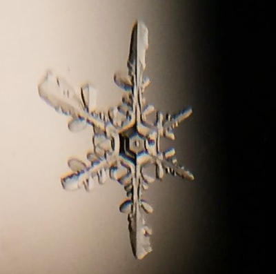 greg-miller-snowflake5